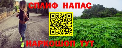 шишки Гагарин