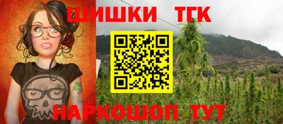 шишки Гагарин