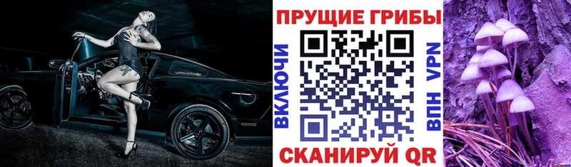 площадка наркотические препараты  Черногорск  Галлюциногенные грибы MAGIC MUSHROOMS  блэк спрут tor 